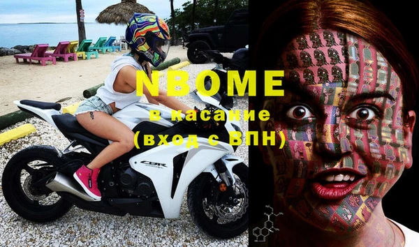 сатива Осташков