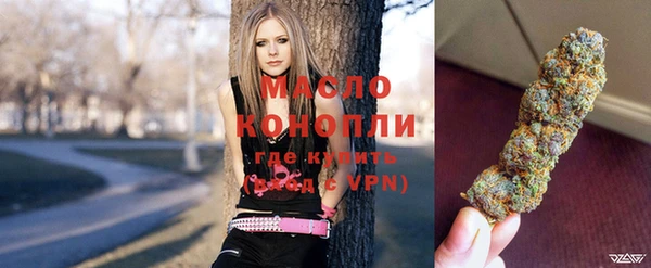 гидра Пестово