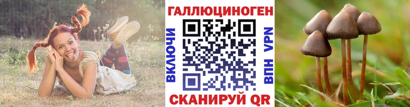 Купить закладки  Сургут  Псилоцибиновые грибы Magic Shrooms 